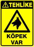 köpek var